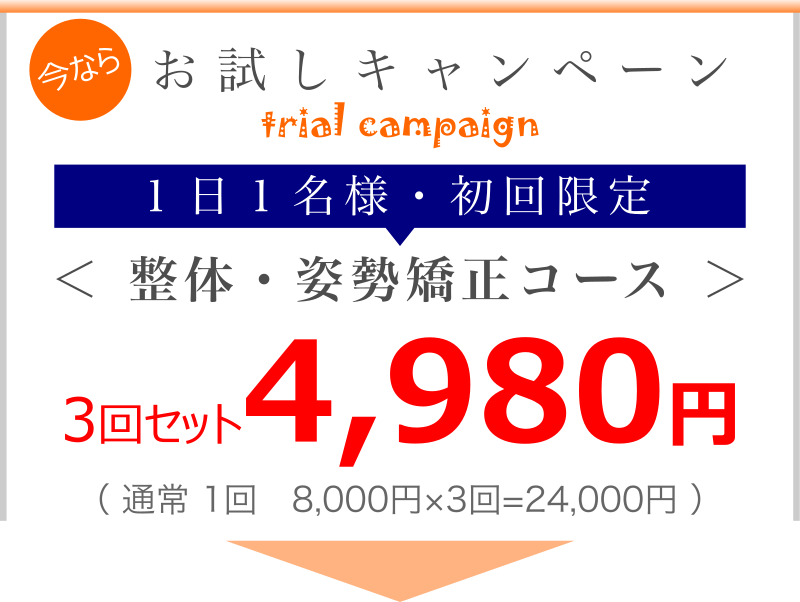 お試しキャンペーン価格 お試しキャンペーン価格